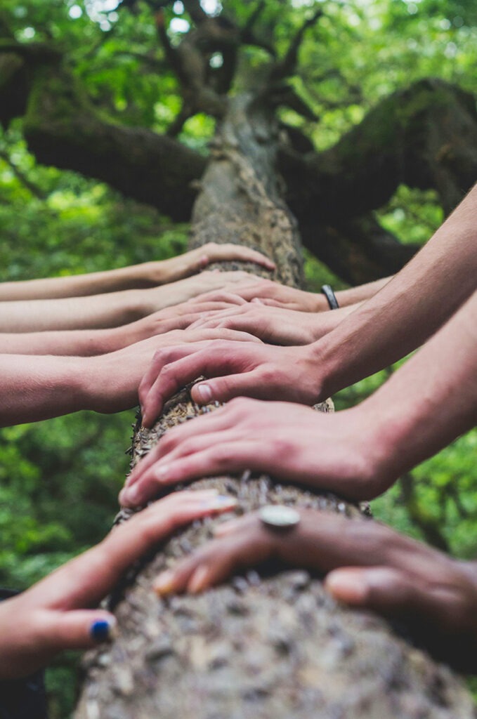 Umweltbildung und nachhaltige Events